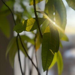 Meet your Posher, Adriana